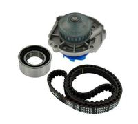 SKF VKMC 02210-1 Water pump and timing belt kit