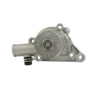 SKF VKPC 87200 Water pump