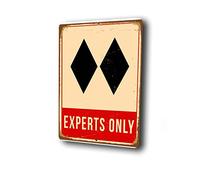 SKI EXPERTS ONLY Sign, Ski Esperts Only Signs, Vintage style Faded Double Black Diamond, Ski Décor