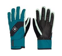 Ski gloves DC Shoes Franchise Bleu XL