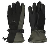 Ski gloves Whistler Fenwick Noir S