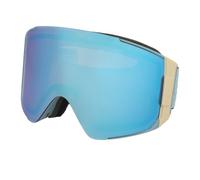 Ski goggles Anon Sync Rock Lichen Perceive Variable Blue/Cloudy Pink + Spare lens