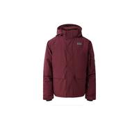 Ski Jacket Dare2B Kids' Shredder Ski Jacket (Fig) child