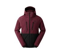 Ski Jacket Dare2B Men's Baseplate III Ski Jacket (Black/Fig)