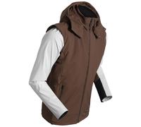 Ski jacket with hood Daehlie Sportswear Raw 6.0 Marron L