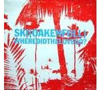 Ski Oakenful - Where Did The Love Go - Ski Oakenful 12"