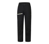 Ski pants Dare2B AFFINITY INSULATED PANT (Black) Men's