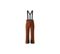 Dare2b Achieve Ii Pants Brown S / Regular Men