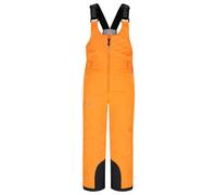Ski pants Kilpi Daryl Orange 3/4 ans