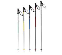 Ski poles Head Rental Multicolore 135 cm