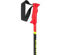 Leki Alpino Racing Poles