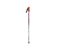 Ski Poles Vola New Geant Carbone