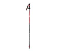Ski poles Vola Slalom World Cup Noir 125 cm