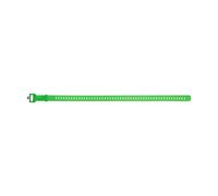 Ski strap Black Diamond 25 Vert TU