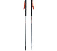 Ski touring pole Viking Mission (x2) Gris 115 cm