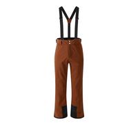 Dare2b Achieve Ii Pants Brown S / Regular Men