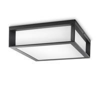 SKIES Anthracite Ceiling-Wall Light for Facade 2x E27/42W IP44