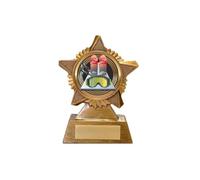Skiing Trophy Award Premier Star Antique Gold 120mm Heavy Resin Downhill Ski-ing Free Engraving -troshow1-G