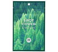 SKIN 1004 - Spot Cover Patch 22 patches