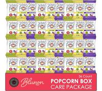 Skinny Pop Popcorn Variety Pack - Snack Bags Assortment Gluten Free - Care Package Gift Box (35 Count)