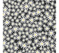 Skinnydip Daisy Floral Wallpaper Black - 180510