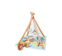 Skip Hop Activity Gym (Camping Cubs)