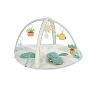 Skip Hop Garden Oasis Activity Gym