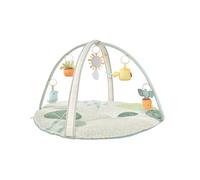 Skip Hop Garden Oasis Activity Gym Multicolor Kids