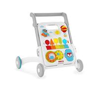 Skip Hop E&m Grow Along 4 In 1 Activity Walker