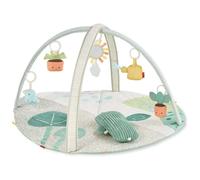 Skip Hop Garden Oasis Activity Gym