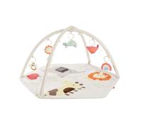 Skip Hop Geometric Wonders Activity Playmat