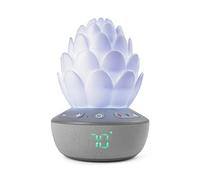 Skip Hopp Terra Cry-Activated Soother