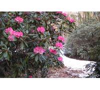 Skip-the-Line: Botanic Garden Entry Ticket