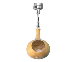 Skip the Spider House | With Magnetism Cabinet Accessories: Naturalistic Natural Pumpkins for Small Reptiles Cave Show Their Own Unique Design, Ensuring a Unique Addition
