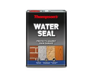 Skip19C Thompsons Water Seal Wbased 5L