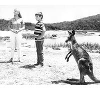 Skippy the Bush Kangaroo (1969) Liza Goddard, Gary Pankhurst 10x8 Photo