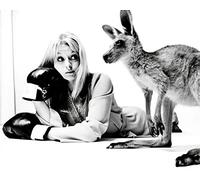 Skippy the Bush Kangaroo (TV) Liza Goddard 10x8 Photo