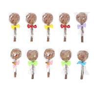 SKISUNO 10pcs Pet Molar Chewing Sticks Safe Natural Fruit Branch Chew for Rabbits Guinea Pigs Hamsters and Chinchillas Teeth Grinding Rods for Healthy Dental Care Random Color