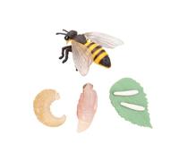 SKISUNO 1set Animal Growth Model Simulation Educational Cycle Ornament for Home Decor and Teaching Realistic Insect Toy for Boys and Girls Imagination and Learning