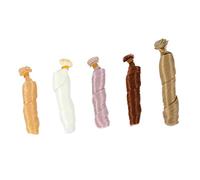 SKISUNO 5Pcs Heat Resistant Doll Hair Wigs Kit for Doll Making Styles Doll Making Parts and Tools for DIY Projects and Repairs