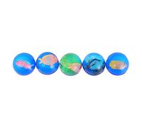 SKISUNO 5Pcs Rubber Bouncing Ball Fun Sea Fish Design for Birthday Soft Material for Enrich Learning Experience