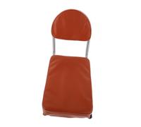 SKISUNO Bicycle Manned Cushion: Bike Rear Seat with Backrest - Child Back Shelf Saddle for Mountain Bike Carrier Children Passenger Adult School Sports