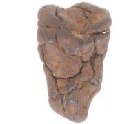 SKISUNO Natural Lithosiderite Meteorite Specimen Educational Science Decor Teaching Aid for Classroom Display and Creative Learning