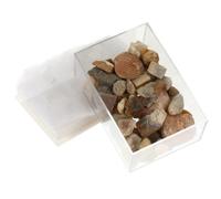 SKISUNO Natural Mineral and Ancient Remains Stone Collection Kit with Mixed Material Specimens for Science Education and Craft Material Suitable and Teachers