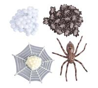 SKISUNO Realistic Spider Life Cycle Model for Educational Animal Display Figurines for Party Decorations Nature Simulation for Preschool Learning and Role Play