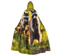 SKKNT Cute Raccoon Print Halloween Unisex Full Length Hooded Cloak For Carnival Cosplay Medieval Festivals