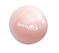 SKKWJEGE 28 cm Pilates Ball Yoga Workout Exercise Fitness Swiss Ball Anti-Burst Pink