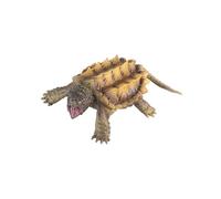 SKKWJEGE Exquisite Snapping Turtle Figure Educational Toy Playset Birthday Gift for Kids Room Decor Simulation Action Style A