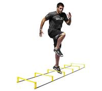 Sklz Elevation Ladder