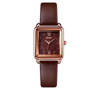 SKMEI Women's Watches for Ladies Female Square Small Slim Light White Leather Band Waterproof Fashion Casual Simple Quartz Analog Young Girls Gifts Wrist Watch, L1702 brown, classic